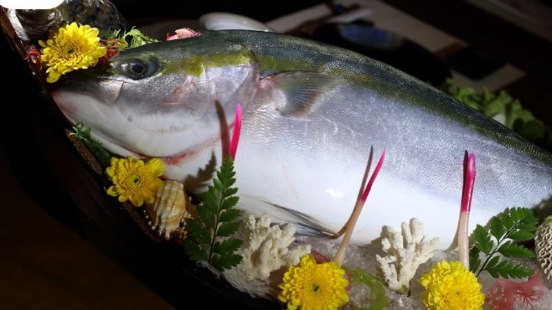 Món ăn "trường thọ" được thực khách Thủ đô săn lùng – Lẩu cá Buri