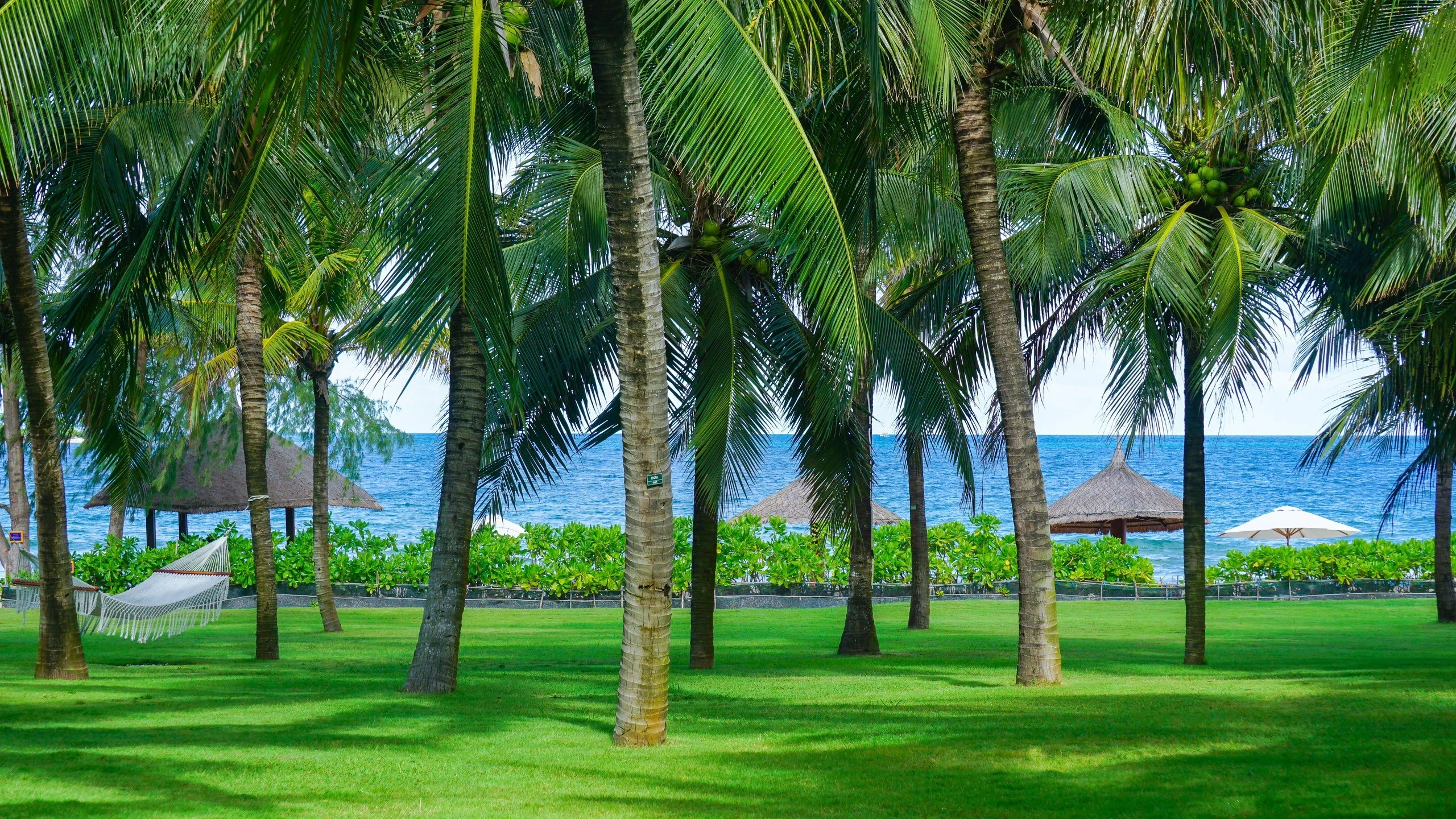 Triển khai nhiều hoạt động vì cộng đồng và gợi mở không gian xanh tại Radisson Blu Resort Phú Quốc
