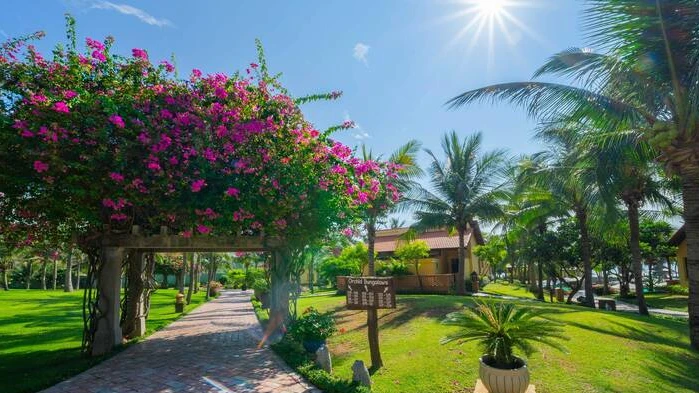 Cùng Pandanus Resort khám phá nét đẹp văn hóa Chăm tại Bình Thuận