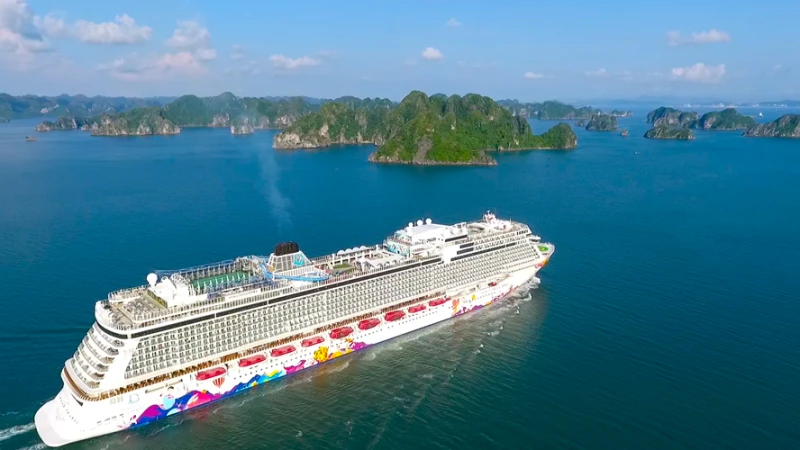 Cảnh đẹp mê hồn khi siêu du thuyền quốc tế tiến vào vịnh Hạ Long