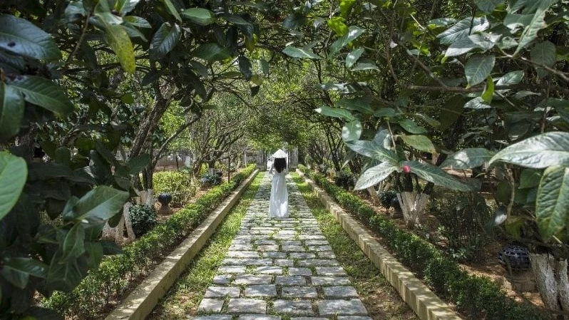 Nhà vườn An Hiên đón du khách trở lại với vẻ đẹp đậm đà văn hóa Huế