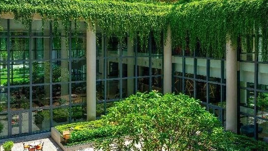 Lễ phát động Chiến dịch bảo vệ môi trường du lịch "Du lịch xanh – Go green"