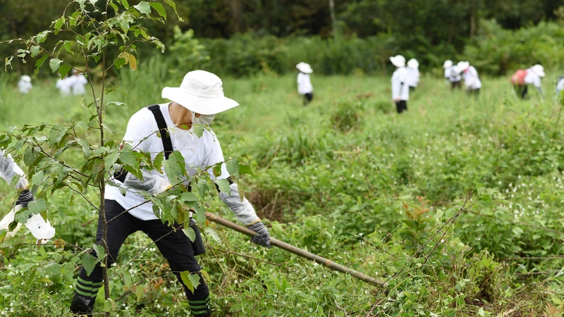 L’Oreal Việt Nam tiếp tục thực hiện cam kết "Trồng rừng cho tương lai” tại Vườn quốc gia Cát Tiên